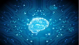 软件工程师陈国冬 在人工智能基础软件开发中破解机器意识的语言难题